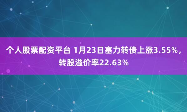 个人股票配资平台 1月23日塞力转债上涨3.55%，转股溢价率22.63%