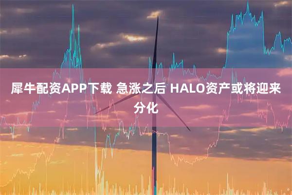 犀牛配资APP下载 急涨之后 HALO资产或将迎来分化